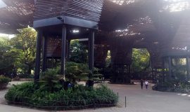 Orquideorama, Jardín Botánico