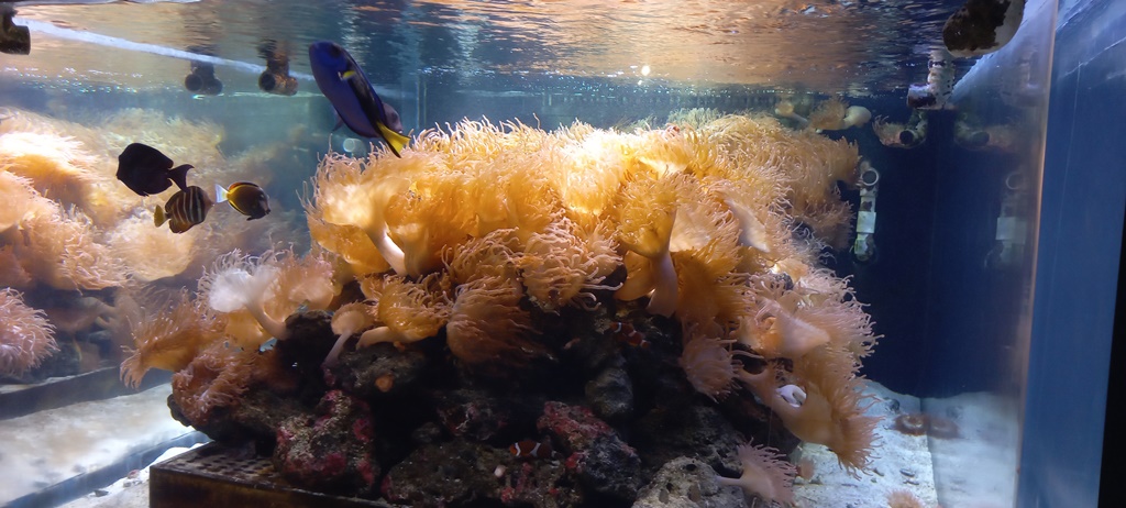El Acuario y el Vivario Parque Explora - Medellin - Antioquia Colombia