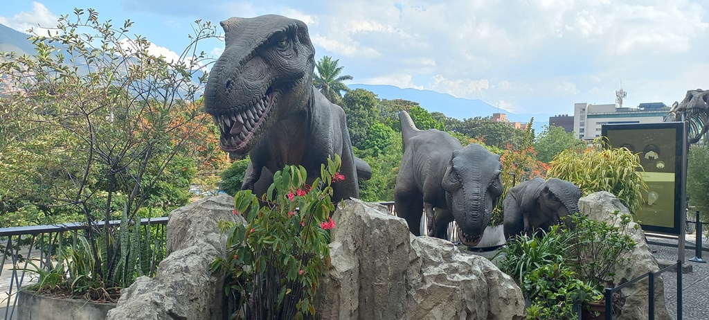Visitar los museos Medellín