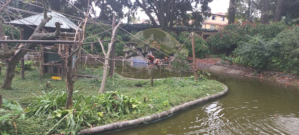 Parque de la Conservacion - Medellin Colombia - Antioquia