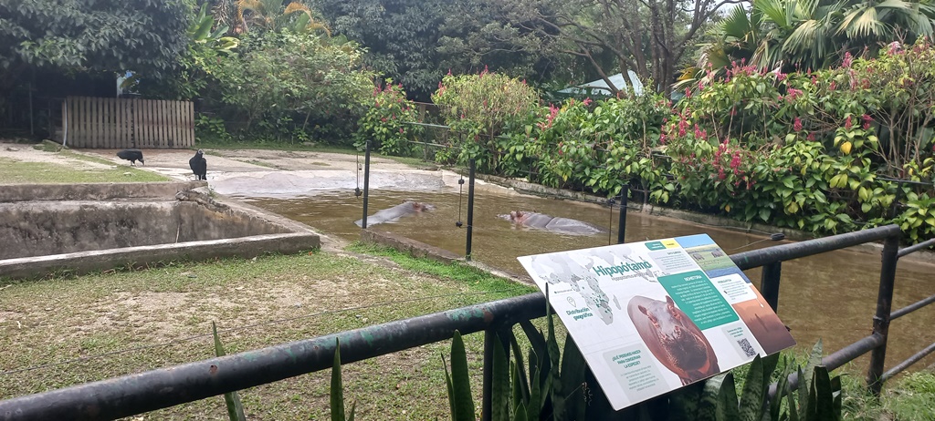 Parque de la Conservación - Medellin Colombia - Antioquia