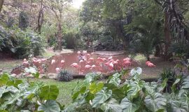 Parque de la Conservación