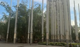Plaza Cisneros