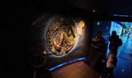 Museo del Agua (EPM)