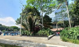 Plaza de la Libertad