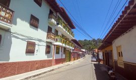 Experiencias en el Mundo del Café