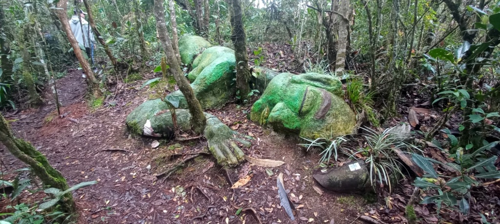 Actividades en el Parque Arvi - Medellin Colombia - Antioquia