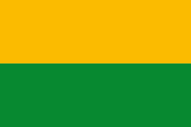 Bandera de Sonsón