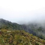 Páramo de Sonsón es patrimonio natural