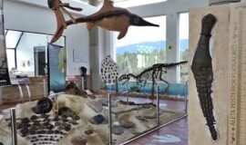 Arqueología en Villa de Leyva