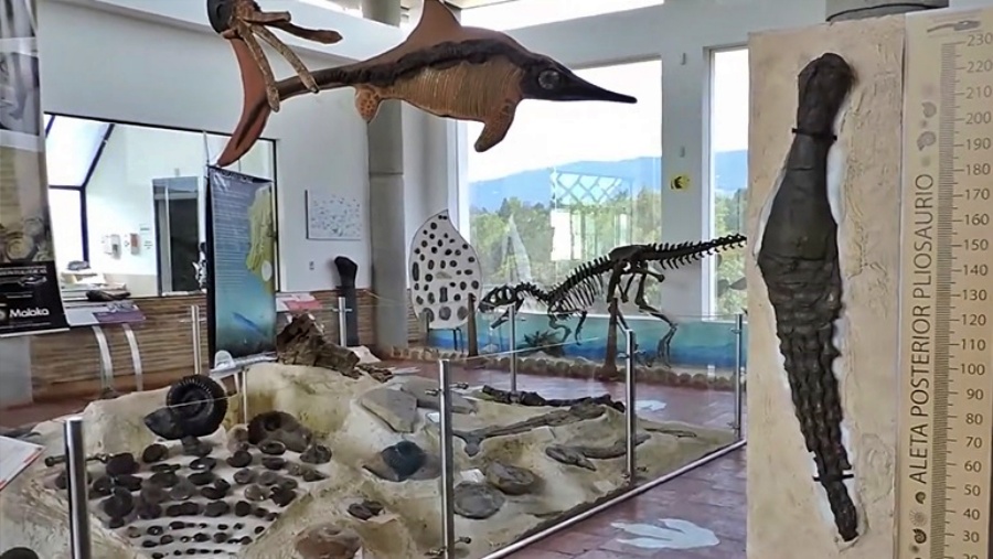 Centro De Investigaciones Paleontologicas - Villa de Leyva - Colombia