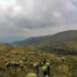Paramo de Oceta - Mongui Colombia