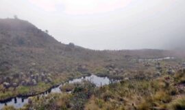 imageframe-image