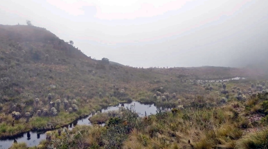 El Santuario de Flora y Fauna Iguaque se encuentra ubicado en el departamento de Boyacá