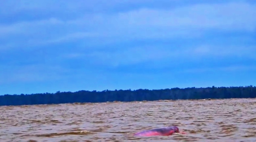 Lago Tarapoto - Amazonas Colombia