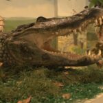 El Museo de Historia Natural Luis Gonzalo Andrade, de la Universidad Pedagógica y Tecnológica de Colombia, se fundó en el año 1970