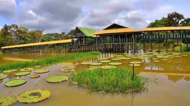 Reserva Natural Victoria Regia - Amazonas