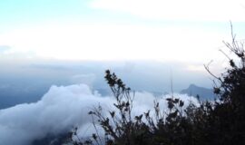 El Topacio, Los Farallones de Cali, Colombia