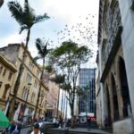 Centro Histórico de Manizales - Colombia