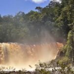 Reserva Nacional Natural Puinawai, Inirida Guainía