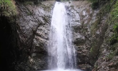 Pasadia Reserva Pericos