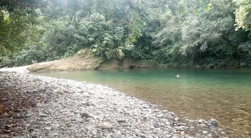 Reserva Forestal San Cipriano | Buenaventura