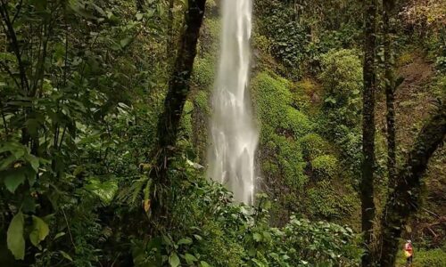 Senderismo por el Santuario Otún Quimbaya Excursión al volcán Nevado del Ruiz