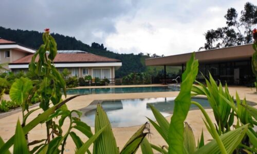 Pasadia Manizales y Termales del Otoño