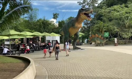 Pasadía en Ukumari + Consota