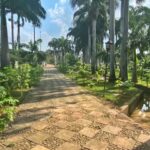 Actividades que no te puedes perder en Cúcuta - Colombia