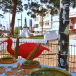 Atracciones y experiencias en Florencia - Caqueta - Colombia