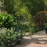 Jardín Botánico Eloy Valenzuela – Floridablanca, Santander – Colombia