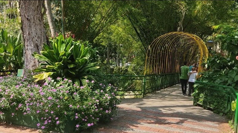 Jardín Botánico Eloy Valenzuela – Floridablanca, Santander – Colombia
