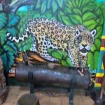 Museo Caqueta - Florencia Caquetá - Colombia