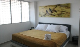 Onix Hotel - Neiva