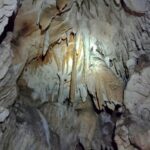 el Parque Nacional Natural (PNN) Cueva de los Guácharos