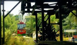 imageframe-image