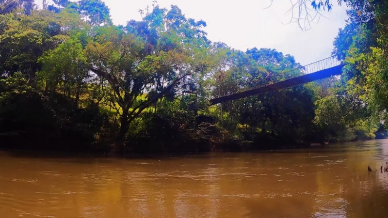Navega en el río Orteguaza