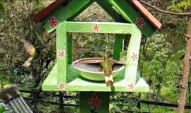 imageframe-image