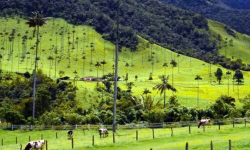 Consejos para viajar al Quindío - Colombia