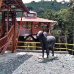 Casa en el Arbol Génova - Quíndio Colombia