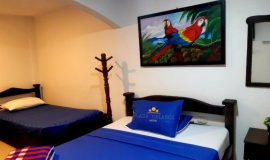 Hotel Plaza Calarcá - Calarcá Quindío