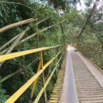 Puente Don San Nicolas - Calarcá Quindio - Colombia