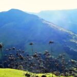 Recorrido a La Palmera y a todo Pijao - Quindío Colombia