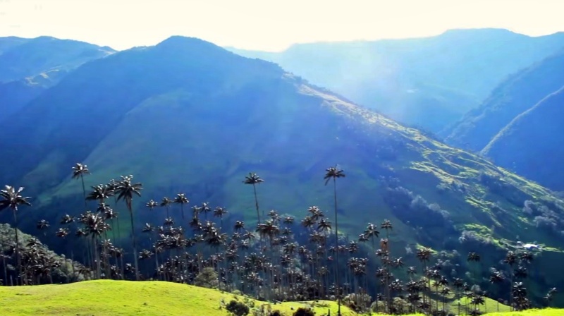 Recorrido a La Palmera y a todo Pijao - Quindío Colombia