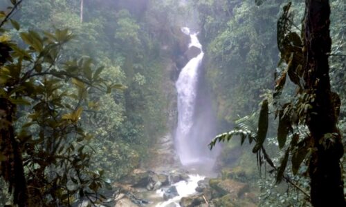 Ecoturismo Colombia