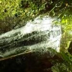 Sendero Ecohistórico Filandia | Sitios de interés de Colombia