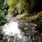 Reserva Cañón del Río Barbas