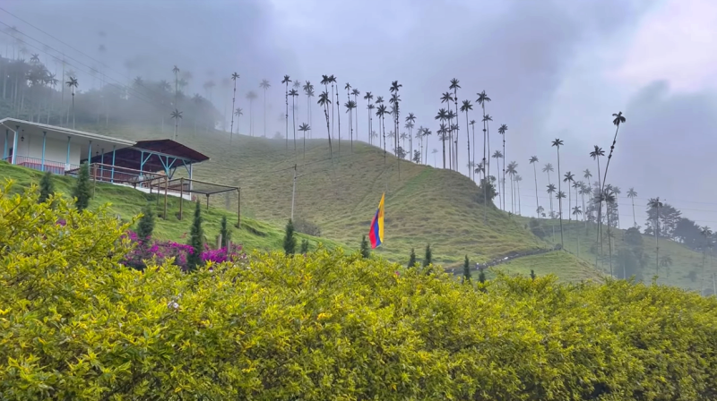 Valle de Cocora en Salento, Quindío Colombia