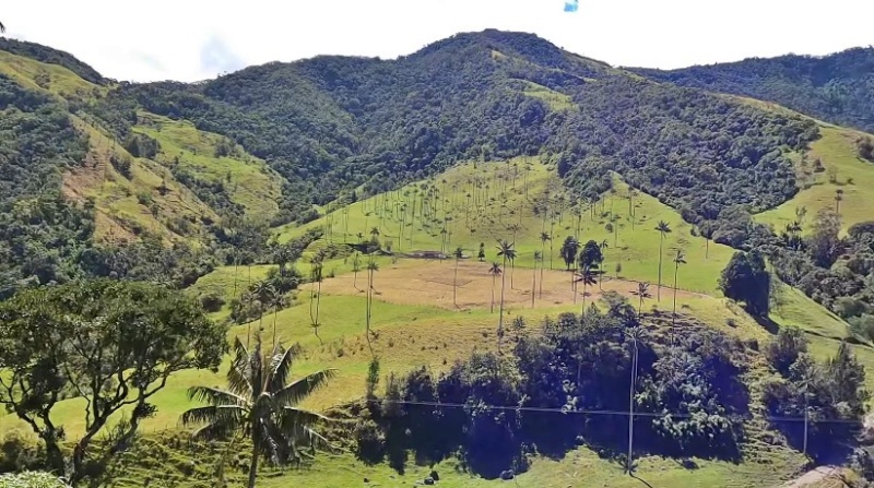 Valle de Cocora